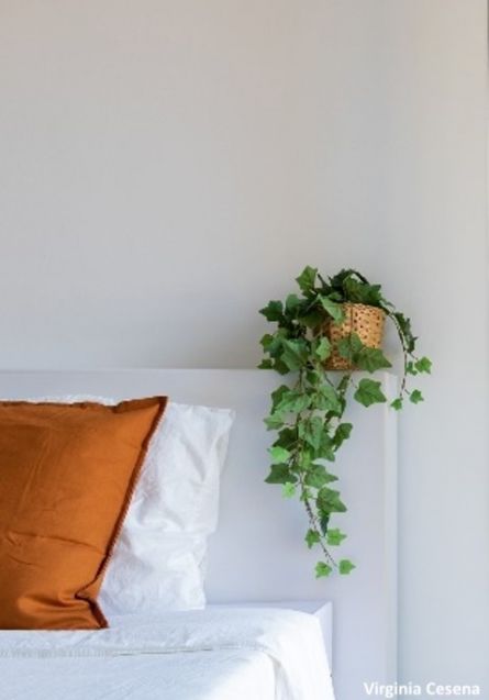 Testiera in cartone nel colore bianco con finitura satinata - Cubiqz